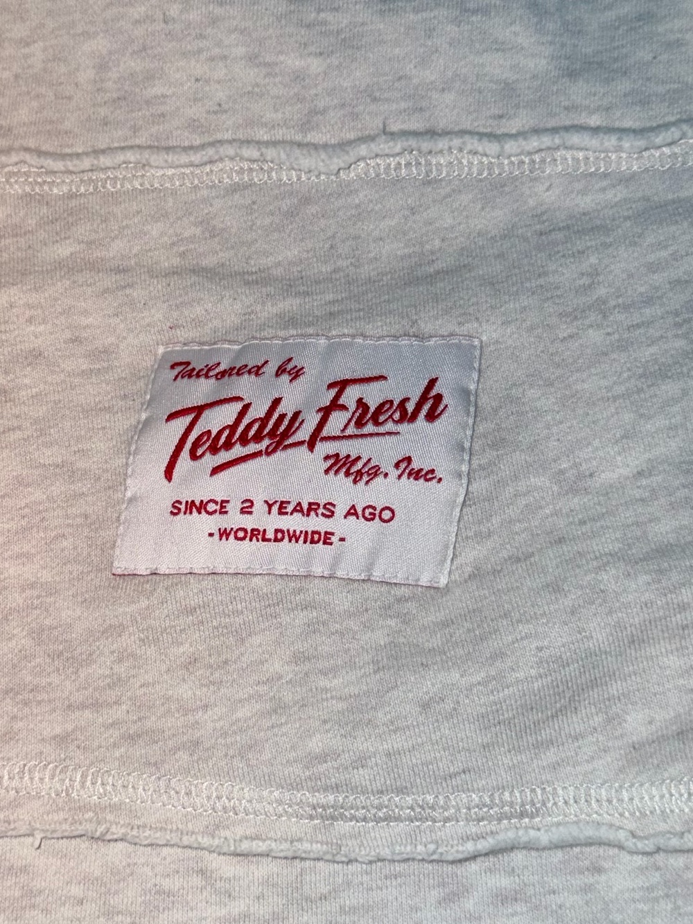 Teddy Fresh Unisex Light Cream/Gray Athletic Sweatshorts with Red Patch - Picture 3 of 4